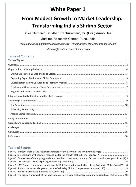 White Paper - 1A_page-0002