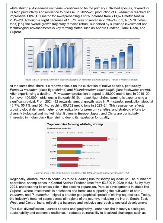 White Paper - 1A_page-0009