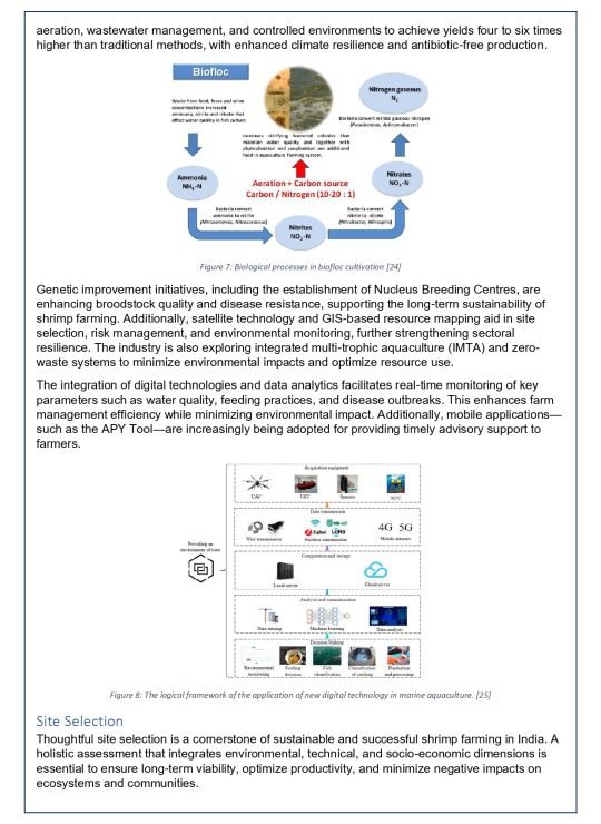 White Paper - 1A_page-0011