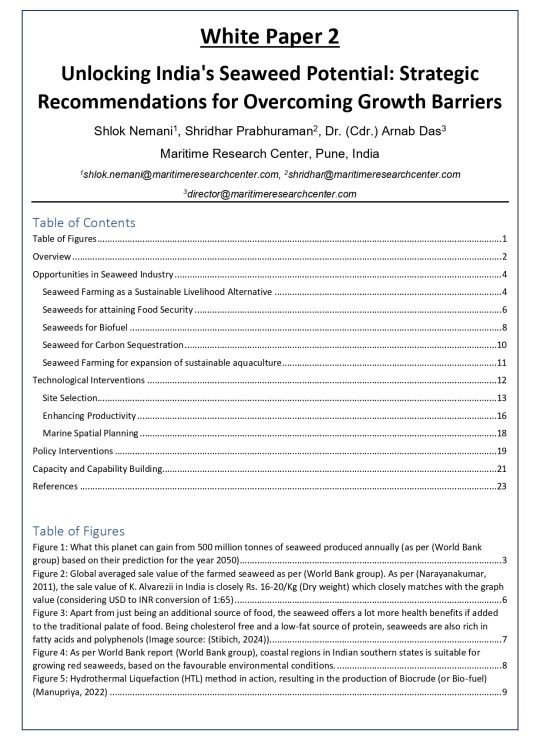 White Paper - 2A_page-0002