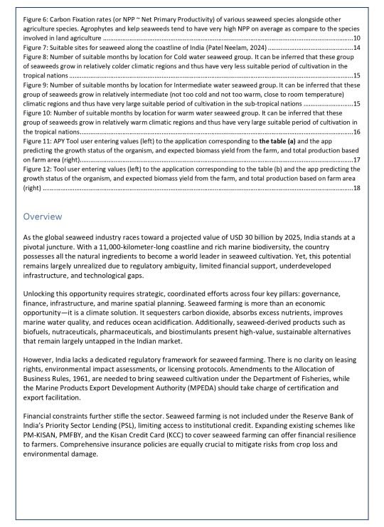 White Paper - 2A_page-0003