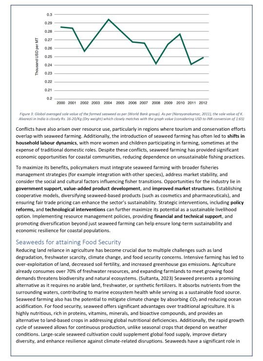 White Paper - 2A_page-0007