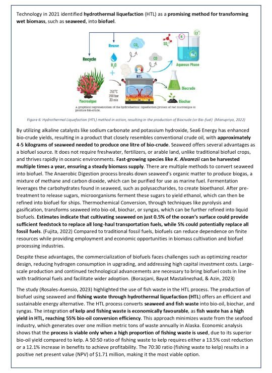 White Paper - 2A_page-0010