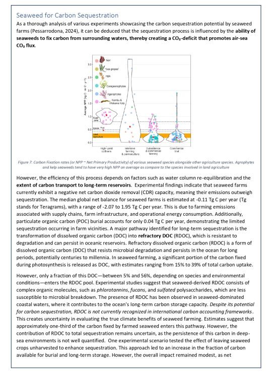 White Paper - 2A_page-0011